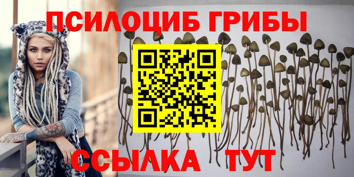 Бошки Шишки  A-PVP СОЛЬ кристаллы  Кокаин  MDMA  Гашиш  Вход с VPN  Реутов  МЕФ   ГАШИШ 
