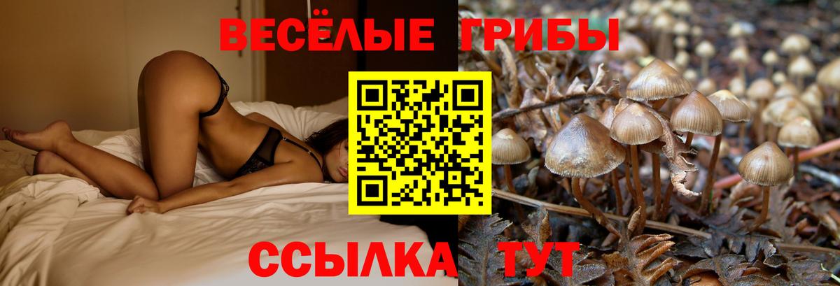 Галлюциногенные грибы ЛСД Реутов